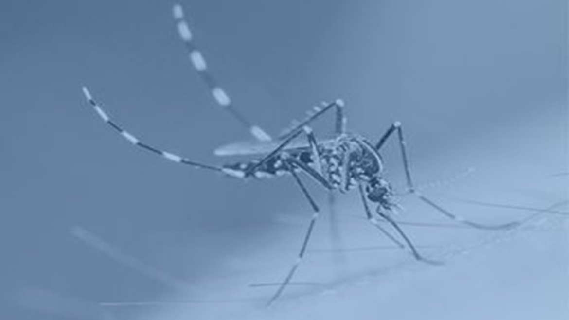 Zika Awareness Online Training Course